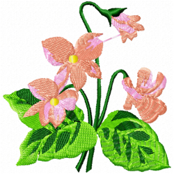 Flowers Embroidery Design 11
